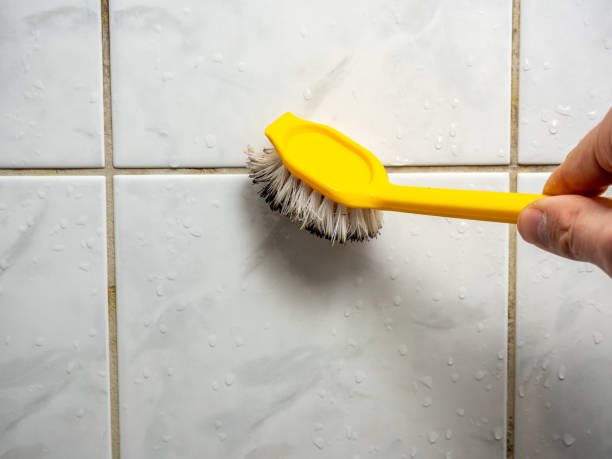 Best Post-Flood Mold Remediation in Carolina Forest, SC